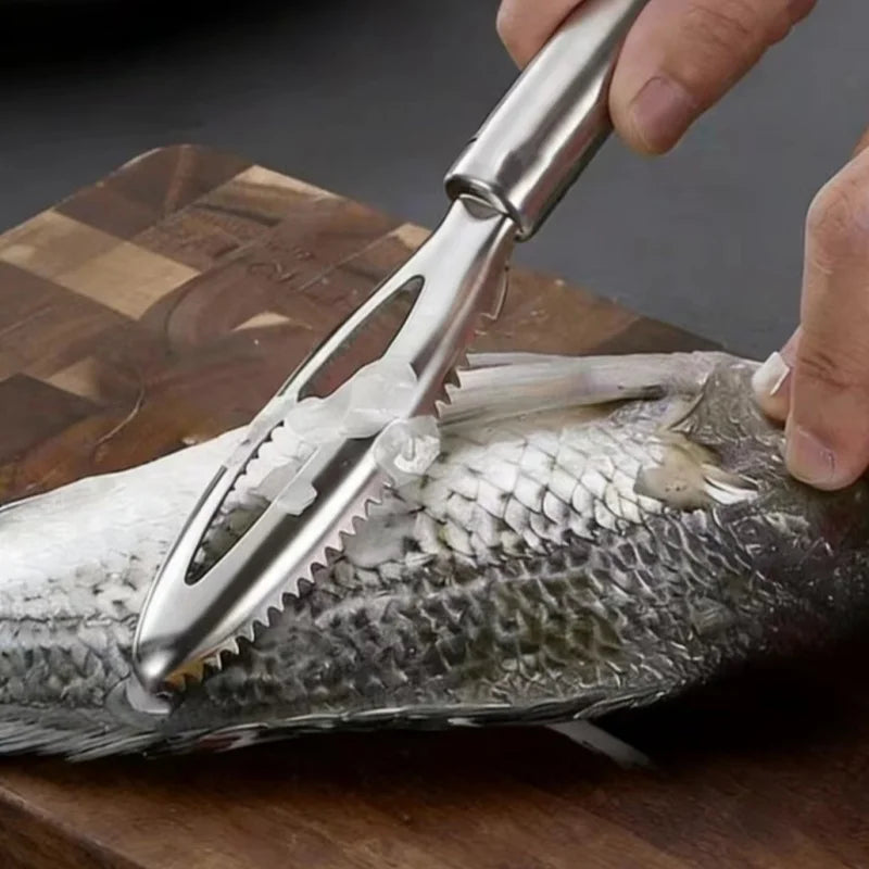 Stainless Steel Fish Scale Scraper For Kitchen Use