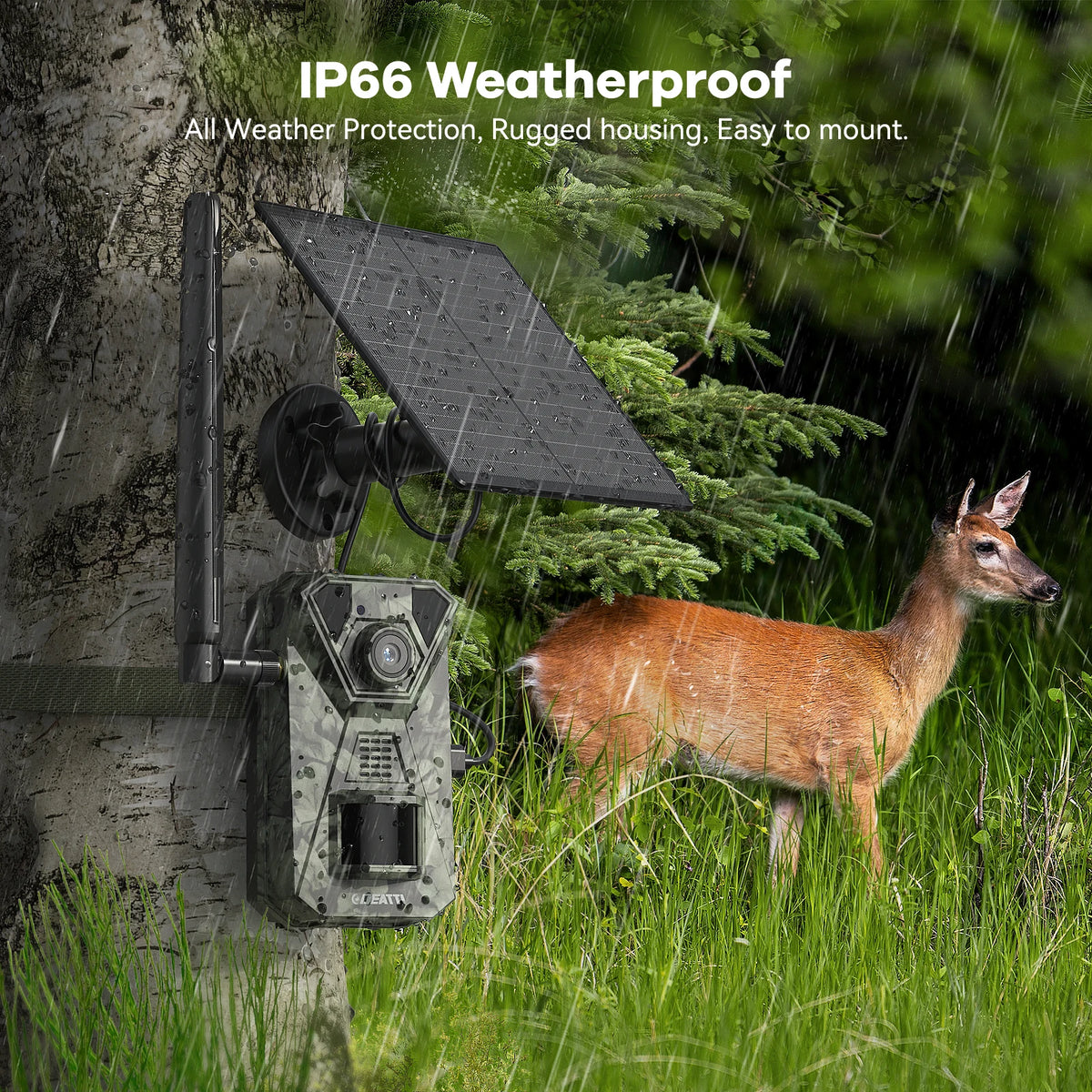 4G LTE Solar Wildlife Camera With 2.7K Video Night Vision