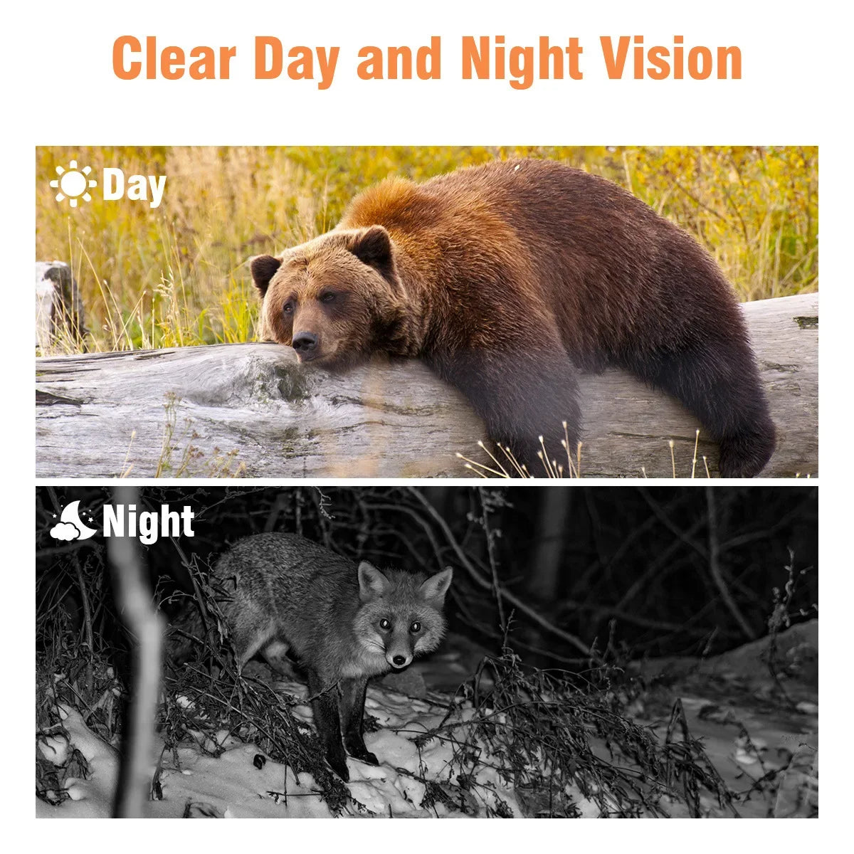 Suntek Mini301 Trail Hunting Camera 24MP 1080P Night Vision