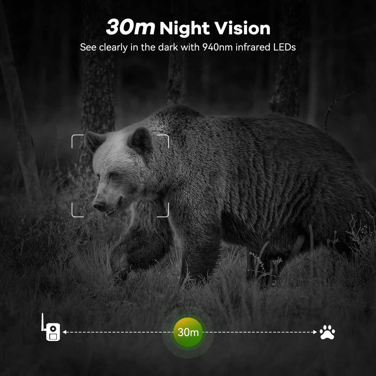4G LTE Solar Wildlife Camera With 2.7K Video Night Vision